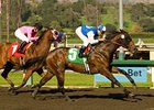 In Summation and Rafael Bejarano power home in the El Conejo Handicap.<br><a target="blank" href="http://www.bloodhorse.com/horse-racing/photo-store?ref=http%3A%2F%2Fpictopia.com%2Fperl%2Fgal%3Fprovider_id%3D368%26ptp_photo_id%3D7284151%26ref%3Dstory">Order This Photo</a>