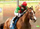 Summer Soiree<br><a target="blank" href="http://www.bloodhorse.com/horse-racing/photo-store?ref=http%3A%2F%2Fpictopia.com%2Fperl%2Fgal%3Fprovider_id%3D368%26ptp_photo_id%3D9641811%26ref%3Dstory">Order This Photo</a>