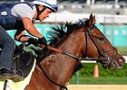 Normandy Invasion<br><a target="blank" href="http://photos.bloodhorse.com/TripleCrown/2013-Triple-Crown/Kentucky-Derby-Workouts/29026796_jvcnn8#!i=2489745846&k=3ddv8WV">Order This Photo</a>