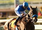 Points Offthebench, whose dam Mo Chuisle is scheduled to be sold at the Fasig-Tipton November Sale.