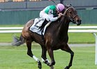 Treat Gently and Kent Desormeaux sweep to the win in the Sheepshead Bay Stakes.<br><a target="blank" href="http://www.bloodhorse.com/horse-racing/photo-store?ref=http%3A%2F%2Fpictopia.com%2Fperl%2Fgal%3Fprovider_id%3D368%26ptp_photo_id%3D8977175%26ref%3Dstory">Order This Photo</a>