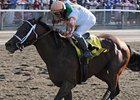 Met Mile winner Divine Park will stand for $17,500.