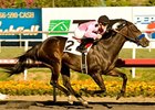 Cost of Freedom cruises to victory in the Vernon O. Underwood Stakes.<br><a target="blank" href="http://www.bloodhorse.com/horse-racing/photo-store?ref=http%3A%2F%2Fpictopia.com%2Fperl%2Fgal%3Fprovider_id%3D368%26ptp_photo_id%3D9299133%26ref%3Dstory">Order This Photo</a>