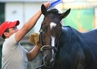 Rachel Alexandra Works on Training Track Rachel Alexandra Works on Training Track