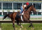 First Dude is still looking for his first stakes win.