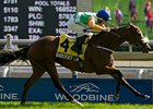 Barefoot Lady won the Canadian Stakes at Woodbine on Sept. 16.