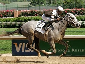 Hightap Convincing Dogwood Winner Hightap Convincing Dogwood Winner