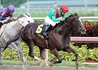 Speechify wins the Mr Prospector Stakes.
<br><a target="blank" href="http://photos.bloodhorse.com/AtTheRaces-1/At-the-Races-2014/i-VFxpVFJ">Order This Photo</a>