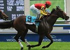 Grand Adventure captures the King Edward Stakes over the Woodbine turf.