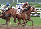 Forty Tales has won three straight graded stakes.<br><a target="blank" href="http://photos.bloodhorse.com/AtTheRaces-1/at-the-races-2013/27257665_QgCqdh#!i=2662525673&k=GLKgzQd">Order This Photo</a>