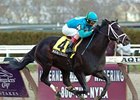 Magna Graduate, shown winning the 2007 Excelsior, looks to break a seven-racing losing streak in this year's version.<br><a target="blank" href="http://www.bloodhorse.com/horse-racing/photo-store?ref=http%3A%2F%2Fpictopia.com%2Fperl%2Fgal%3Fprovider_id%3D368%26ptp_photo_id%3D979269%26ref%3Dstory">Order This Photo</a>