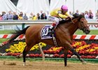 Sage Valley faces 8 in the James Marvin Handicap.<br><a target="blank" href="http://photos.bloodhorse.com/AtTheRaces-1/at-the-races-2013/27257665_QgCqdh#!i=2519453689&k=n62c26f">Order This Photo</a>