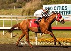 Clubhouse Ride rolls to victory in the Californian Stakes.