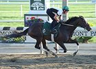 Royal Delta <br><a target="blank" href="http://photos.bloodhorse.com/AtTheRaces-1/at-the-races-2013/27257665_QgCqdh#!i=2552246274&k=7WmTr2T">Order This Photo</a>