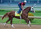 Lukas Contenders Turn in Final Preparations Lukas Contenders Turn in Final Preparations