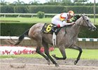 Azalea winner Indyanne puts her undefeated record on the line in the Victory Ride.