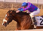 Whiskey Romeo, a three-time stakes winner, takes on 6 in the Jersey Shore Stakes.
