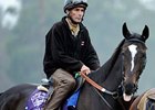 Nov. 5: Lillie Acts Up; Zenyatta on Track Nov. 5: Lillie Acts Up; Zenyatta on Track