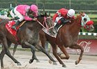 D'nied Permission takes the Affirmed Division of the Florida Stallion Stakes.