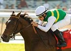 Pasar Silbano will be among the contenders in the Providencia Stakes.<br><a target="blank" href="http://www.bloodhorse.com/horse-racing/photo-store?ref=http%3A%2F%2Fpictopia.com%2Fperl%2Fgal%3Fprovider_id%3D368%26ptp_photo_id%3D7618322%26ref%3Dstory">Order This Photo</a>
