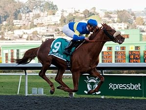 Dice Flavor Hits Meydan Track After Illness Dice Flavor Hits Meydan Track After Illness