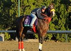 Trinniberg Hopes for Six-Furlong Breakthrough Trinniberg Hopes for Six-Furlong Breakthrough