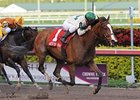 Pomeroys Pistol charges home in the Sugar Swirl at Gulfstream.<br><a target="blank" href="http://www.bloodhorse.com/horse-racing/photo-store?ref=http%3A%2F%2Fpictopia.com%2Fperl%2Fgal%3Fprovider_id%3D368%26ptp_photo_id%3D9773228%26ref%3Dstory">Order This Photo</a>