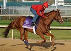 Dayatthespa at Churchill Downs on November 1.<br><a target="blank" href="http://www.bloodhorse.com/horse-racing/photo-store?ref=http%3A%2F%2Fpictopia.com%2Fperl%2Fgal%3Fprovider_id%3D368%26ptp_photo_id%3D9725499%26ref%3Dstory">Order This Photo</a>