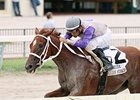 Putyourdreamsaway leads a field of nine juvenile fillies entered for the My Dear Girl Division of the Florida Stallion Series.