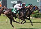 Dallas Turf Cup Handicap winner Church Service heads a group of well-matched turf marathoners in Hollywood finale.