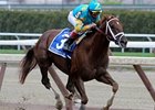 Eskendereya to Be Sold Under Zayat Plan Eskendereya to Be Sold Under Zayat Plan