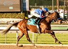 Game On Dude
