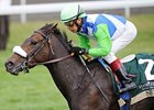 Senada wins the Dowager Stakes.
<br><a target="blank" href="http://www.bloodhorse.com/horse-racing/photo-store?ref=http%3A%2F%2Fpictopia.com%2Fperl%2Fgal%3Fprovider_id%3D368%26pt%0D%0Ap_photo_id%3D9715957%26ref%3Dstory">Order This Photo</a>