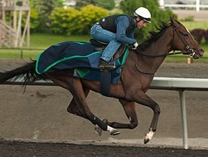 Woodbine Oaks, Plate Trial Take Spotlight Woodbine Oaks, Plate Trial Take Spotlight
