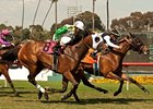 Charlie Em holds off Scarlet Strike to take the Senorita Stakes.
