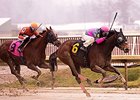 Lady Sabelia, Elnaawi Among Laurel Winners Lady Sabelia, Elnaawi Among Laurel Winners