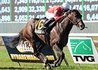 Naples Bay Tops Grade III My Charmer Naples Bay Tops Grade III My Charmer