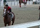 Buggin Out leaves the rest behind in the Magic City Stakes.<br><a target="blank" href="http://photos.bloodhorse.com/AtTheRaces-1/At-the-Races-2014/i-KtBSwtM">Order This Photo</a>