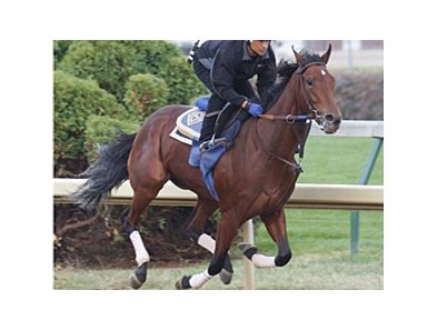 Switch on the Churchill Downs track prior to the Breeders' Cup World Championships.