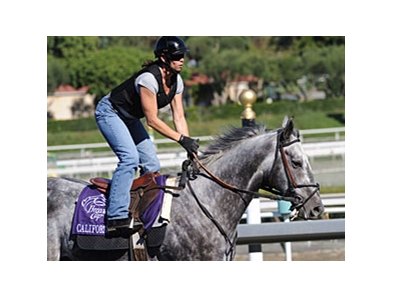 California Flag<br><a target="blank" href="http://www.bloodhorse.com/horse-racing/photo-store?ref=http%3A%2F%2Fpictopia.com%2Fperl%2Fgal%3Fprovider_id%3D368%26ptp_photo_id%3D8598919%26ref%3Dstory">Order This Photo</a>