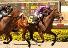The Green Monkey Sires First Winner The Green Monkey Sires First Winner