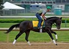 Hold Me Back gallops at Churchill Downs on April 30. <br><a target="blank" href="http://www.bloodhorse.com/horse-racing/photo-store?ref=http%3A%2F%2Fgallery.pictopia.com%2Fbloodhorse%2Fgallery%2F81492%2Fphoto%2F8057486%2F%3Fo%3D6">Order This Photo</a>