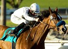 Well Armed makes his first start since running third in the Dubai World Cup in the San Diego Handicap.<br><a target="blank" href="http://www.bloodhorse.com/horse-racing/photo-store?ref=http%3A%2F%2Fpictopia.com%2Fperl%2Fgal%3Fprovider_id%3D368%26ptp_photo_id%3D3547259%26ref%3Dstory">Order This Photo</a>