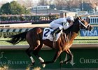 Super Win in Kentucky Jockey Club Super Win in Kentucky Jockey Club