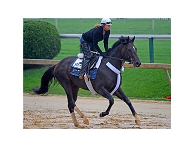 Dialed In
<br><a target="blank" href="http://www.bloodhorse.com/horse-racing/photo-store?ref=http%3A%2F%2Fpictopia.com%2Fperl%2Fgal%3Fprovider_id%3D368%26ptp_photo_id%3D9532043%26ref%3Dstory">Order This Photo</a>