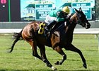 King Kreesa leads them home in the Poker Stakes.
<br><a target="blank" href="http://photos.bloodhorse.com/AtTheRaces-1/at-the-races-2013/27257665_QgCqdh#!i=2615164899&k=HkGfqLc">Order This Photo</a>