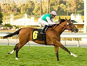 Champs Elysees Tops 5-Horse Murray Field Champs Elysees Tops 5-Horse Murray Field