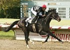 Gone Astray Finds Right Path in Ohio Derby Gone Astray Finds Right Path in Ohio Derby