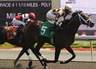 Embur's Song has won 4 in a row, including the Ontario Matron Stakes.