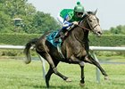 Cheetah bounds home to win the Robert G. Dick Memorial Stakes.